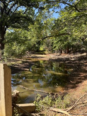 MARTIN PARK NATURE CENTER - Updated January 2026 - 198 Photos & 59