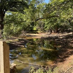 Martin Park Nature Center - Creek