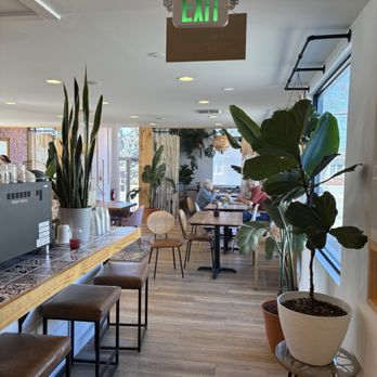 Issa Vibe Cafe - Salad Near Me - New Buffalo, Michigan Issa Vibe Cafe - Salad Near Me - New Buffalo, Michigan