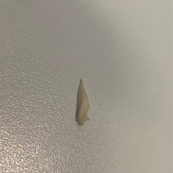Jersey Mike's Subs - This was in my turkey sandwich!! - Sandwiches Near Me - East Hanover, New Jersey