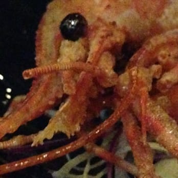 Kata Robata - Fried Ama-ebi (sweet shrimp) head comes with Kata Sushi Platter. - Sushi Bars Near Me - Houston, Texas Kata Robata - Fried Ama-ebi (sweet shrimp) head comes with Kata Sushi Platter. - Sushi Bars Near Me - Houston, Texas