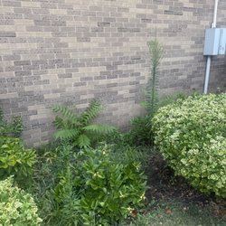 Marcus Management - I have made three work orders and still nothing...