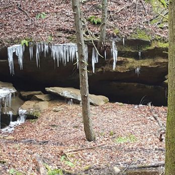 Big Pine Retreat - Vacation Rentals Near Me - Rockbridge, Ohio