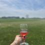 Photo of Chatham Vineyards