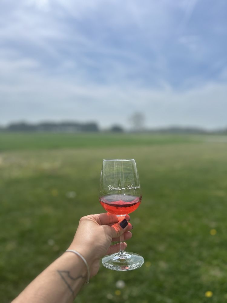 Chatham Vineyards - vineyard in Machipongo, VA