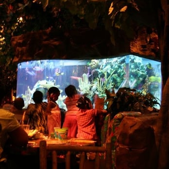 Rainforest Cafe - American Near Me - Atlantic City, New Jersey Rainforest Cafe - American Near Me - Atlantic City, New Jersey