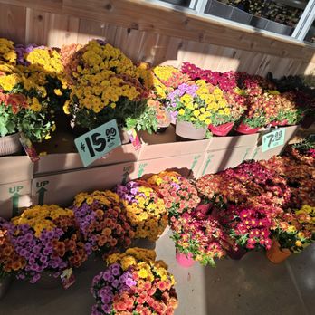 Trader Joe's Bee Cave - Grocery Near Me - Bee Cave, Texas