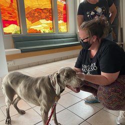 Riverton Veterinary Hospital - Fiona in the gorgeous lobby at Riverton Veterinary Hospital