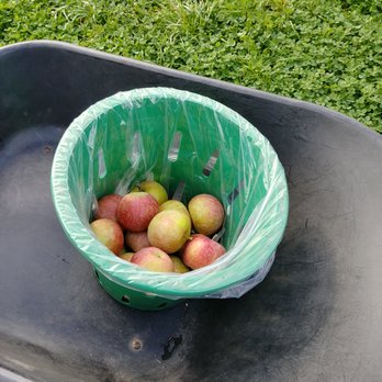 Homestead Farm - Fruits & Veggies Near Me - Poolesville, Maryland