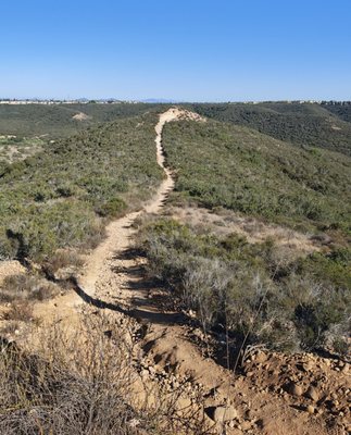 Los Penasquitos Canyon County Preserve by null