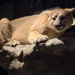 Douglas County Museum - Interactive exhibits for all ages