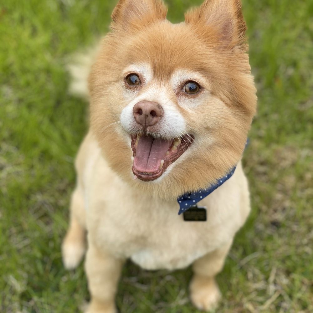 My fur baby!