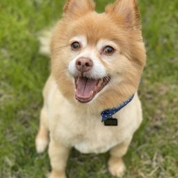 My fur baby!