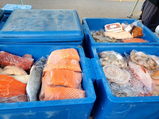 State Street Farmers Market by null