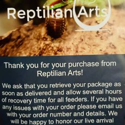 Reptilian Arts - Flyer