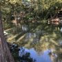 Cypress Bend Park