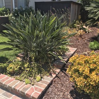Ralph Centolella Landscaping - Planter and landscaping. - Landscaping Near Me