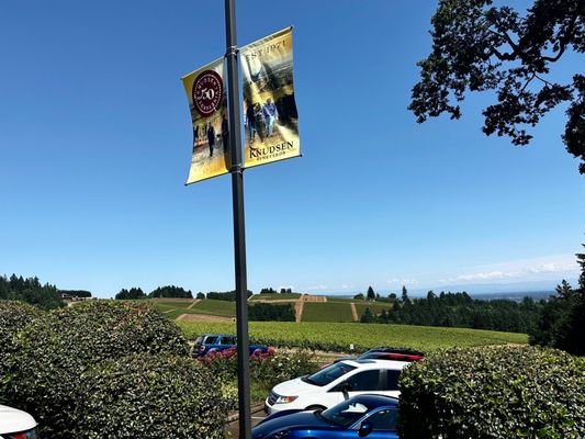 Knudsen Vineyards by null