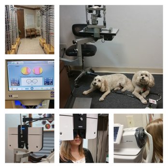 Florida Optical Services - We Are Pet friendly! - Eyewear & Opticians Near Me - Fort Myers, Florida Florida Optical Services - We Are Pet friendly! - Eyewear & Opticians Near Me - Fort Myers, Florida