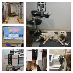 Florida Optical Services - We Are Pet friendly!