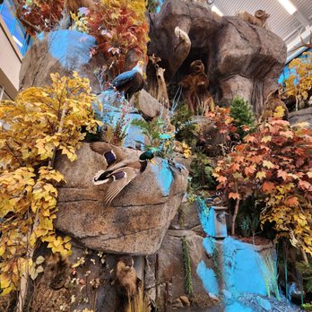 Scheels - Golf Equipment Near Me - Chandler, Arizona