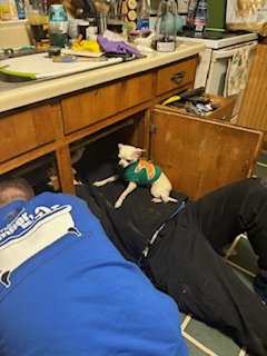 Slide of My Professional Plumber