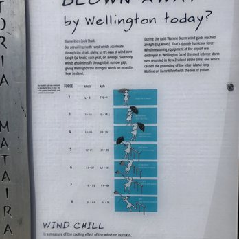 Mount Victoria Lookout - Local Flavor Near Me - Wellington, WGN