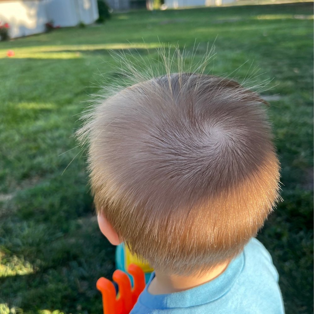 COOKIE CUTTERS HAIRCUTS FOR KIDS PERRYSBURG Updated September 2024