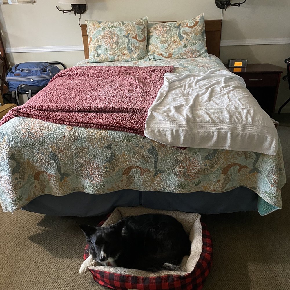 Mermaid Inn - One of the two queen beds. - Hotels Near Me - Long Beach, Washington Mermaid Inn - One of the two queen beds. - Hotels Near Me - Long Beach, Washington