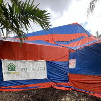 Pestmaster of Miami - Call me if you have termites! - Pest Control Near Me - Miami, Florida Pestmaster of Miami - Call me if you have termites! - Pest Control Near Me - Miami, Florida