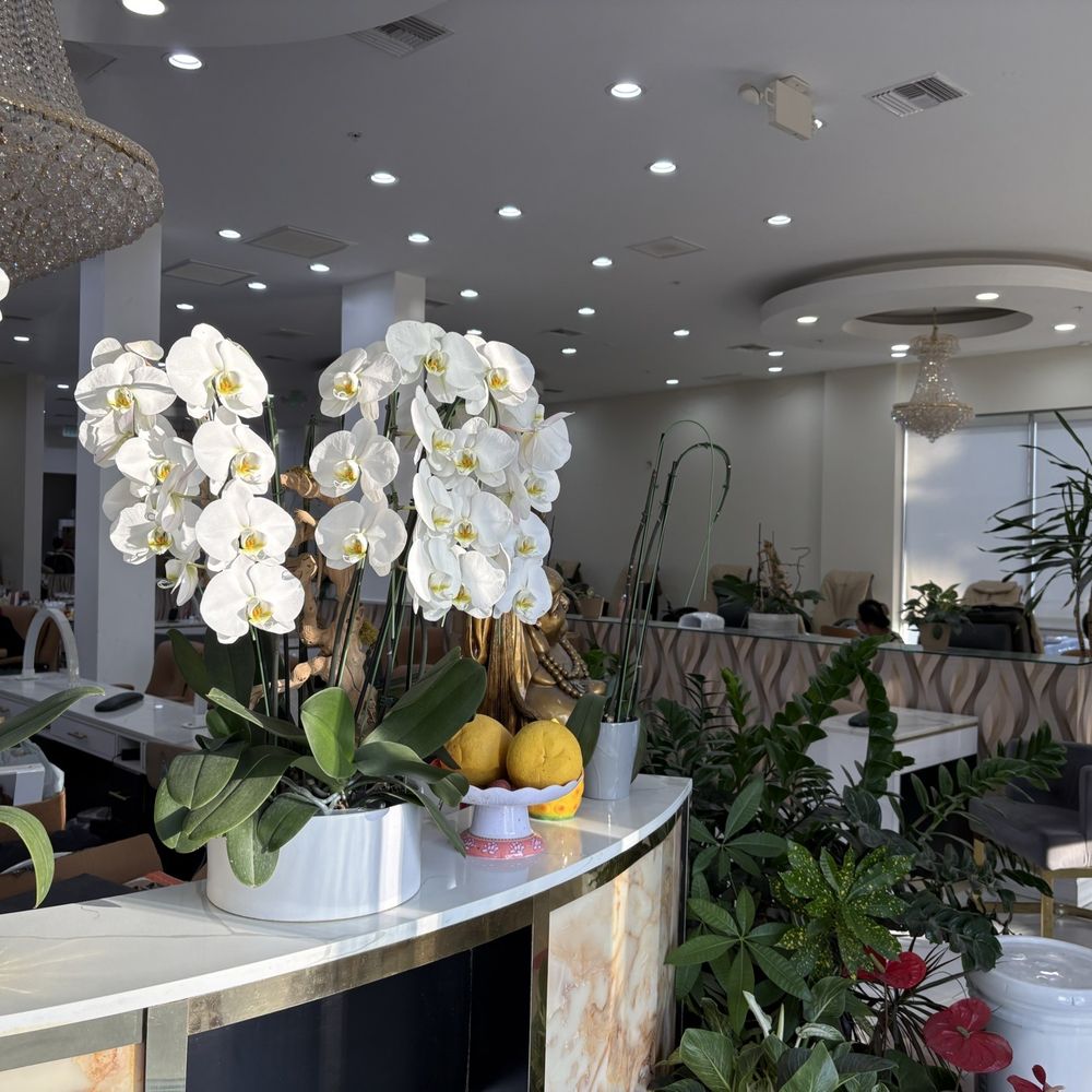 Diamond Nail Lounge - Nail Salons Near Me - West Covina, California Diamond Nail Lounge - Nail Salons Near Me - West Covina, California