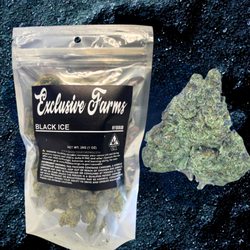 Exclusive Caregivers Of California - Exclusive flower