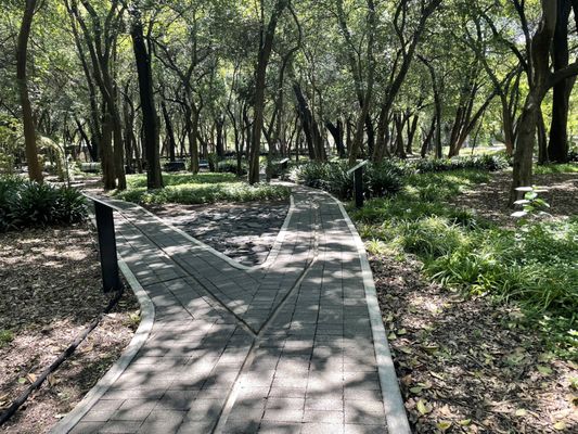 Jardín Botánico del Bosque de Chapultepec by null