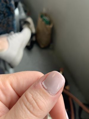 Tampa Nails 55 Photos 95 Reviews Nail Salons 2123 W