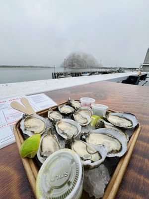 Grassy Bar Oyster Company by null