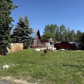 AAA Red Lodge Rentals - More wildlife in town. - Vacation Rentals Near Me AAA Red Lodge Rentals - More wildlife in town. - Vacation Rentals Near Me