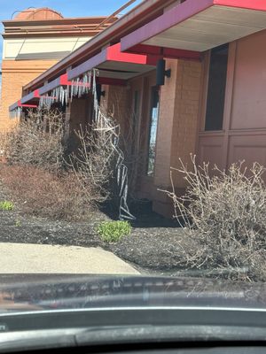 UNO Pizzeria & Grill by null