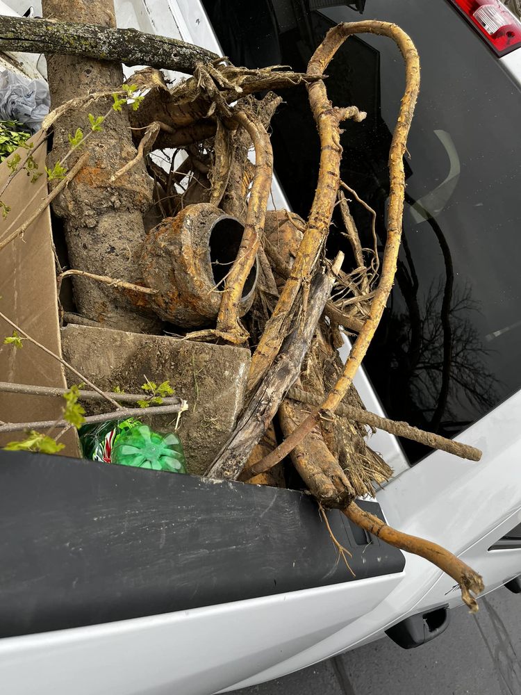 Slide of Lucky's Sewer & Drain