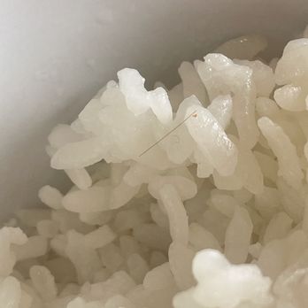 Curry Hyuga - Hair in my rice - Japanese Curry Near Me - Cupertino, California