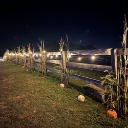 Lit pathways make the ambience very Autumn like.