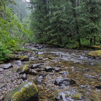 Gifford Pinchot National Forest - Hiking Near Me