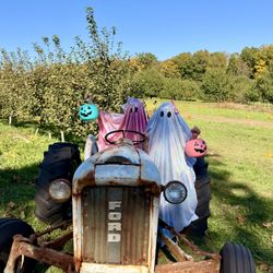 Whittle's Willow Spring Farm