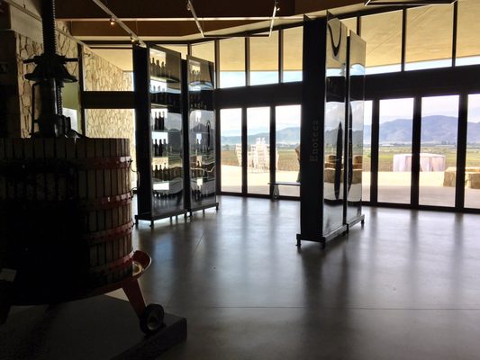 Museum of the Vine and Wine by null