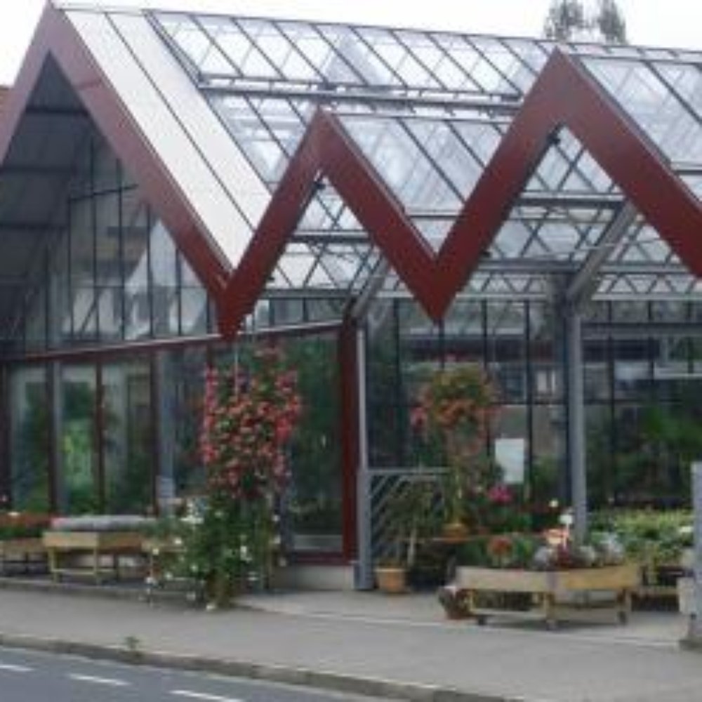TOP 10 BEST Baumschule in Lower Franconia, Bayern, Germany - Updated 2026 -  Yelp