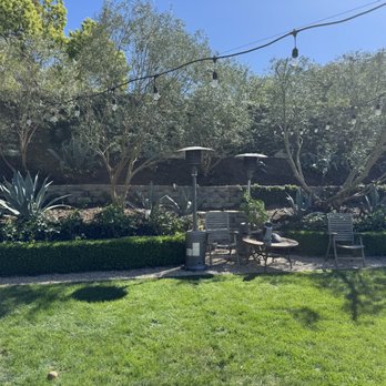 Orange County Tree Services - After - Tree Services Near Me Orange County Tree Services - After - Tree Services Near Me