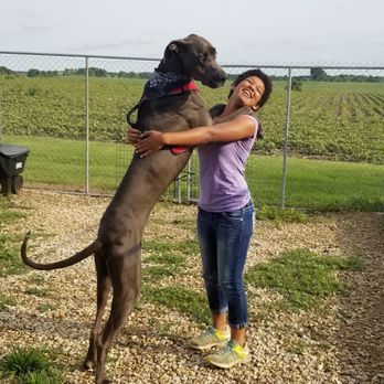 Rock River Pet Resort - Elvis getting some lovin! - Pet Groomers Near Me - Waverly, Iowa Rock River Pet Resort - Elvis getting some lovin! - Pet Groomers Near Me - Waverly, Iowa