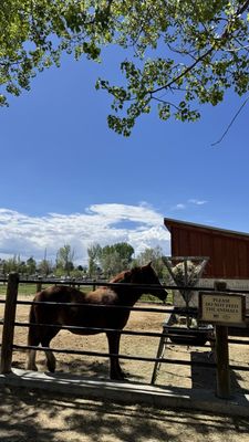 Wheeler Historic Farm by null