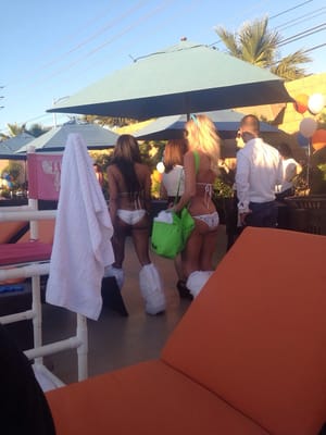 Sapphire Pool & Dayclub by null