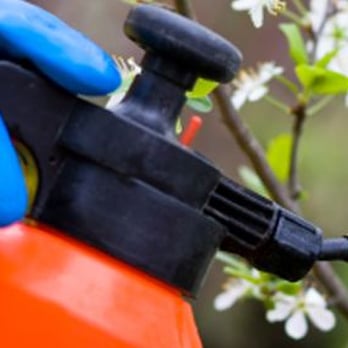 Green Machine for Happy Grass - Pest Control Near Me Green Machine for Happy Grass - Pest Control Near Me