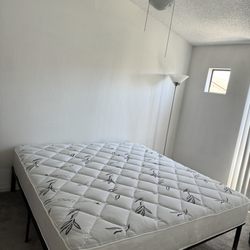 Mattress Bob